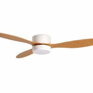 Ventilador de techo